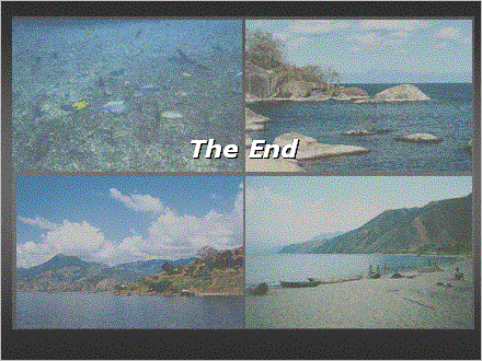 Slide #45. The End