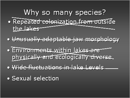 Slide #7. Why so many species?
