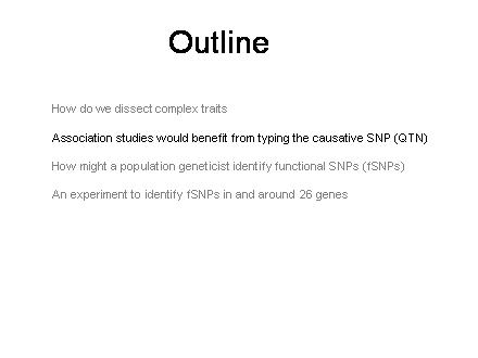 Slide #12. Outline
