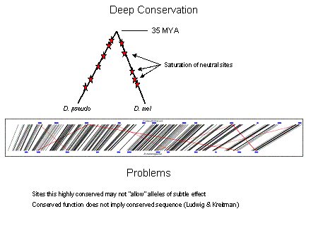 Slide #22. Deep Conservation