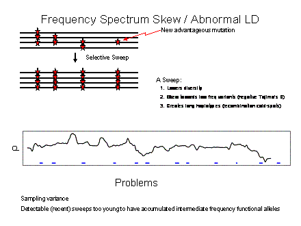 Slide #25. Frequency Spectrum Skew / Abnormal LD