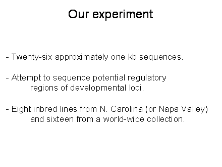Slide #27. Our experiment