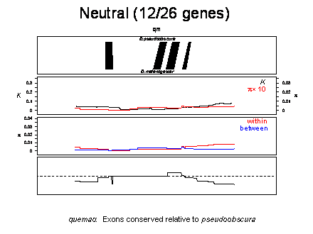 Slide #33. Neutral (12/26 genes) 