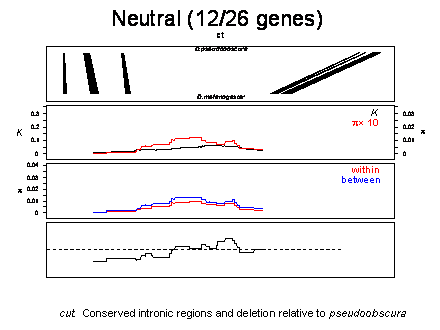 Slide #34. Neutral (12/26 genes) 