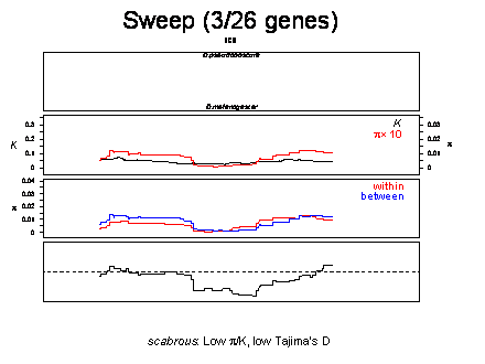 Slide #35. Sweep (3/26 genes) 