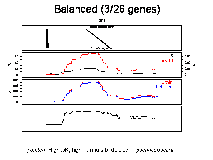 Slide #36. Balanced (3/26 genes) 