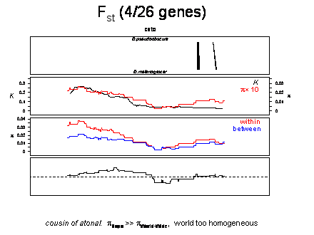 Slide #37. Fst (4/26 genes) 