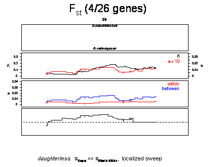Slide #38. Fst (4/26 genes) 
