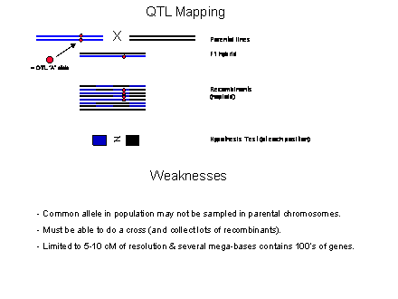 Slide #5. =
