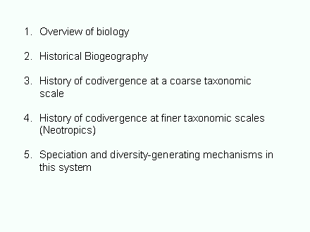 Slide #10. Overview of biology<BR><BR>Historical Biogeography<BR><BR>History of codivergence at a coarse taxonomic scale<BR><BR>History of codivergence at finer taxonomic scales (Neotropics)<BR><BR>Speciation and diversity-generating mechanisms in this system