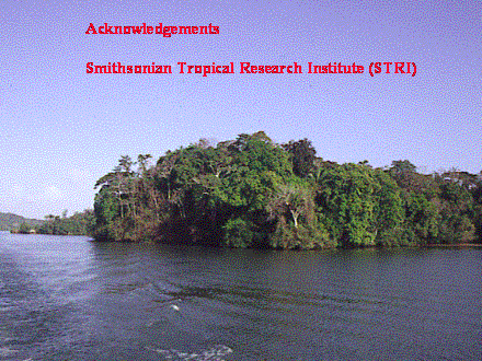 Slide #2. Acknowledgements<BR><BR>Smithsonian Tropical Research Institute (STRI)