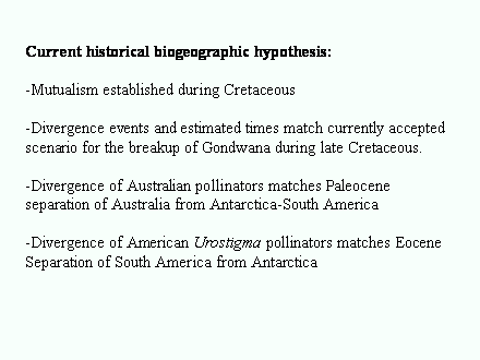 Slide #37. Current historical biogeographic hypothesis:<BR><BR>-Mutualism established during Cretaceous<BR><BR>-Divergence events and estimated times match currently accepted<BR>scenario for the breakup of Gondwana during late Cretaceous.<BR><BR>-Divergence of Australian pollinators matches Paleocene <BR>separation of Australia from Antarctica-South America<BR><BR>-Divergence of American Urostigma pollinators matches Eocene <BR>Separation of South America from Antarctica
