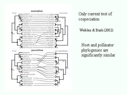 Slide #43. Weiblen & Bush (2002)