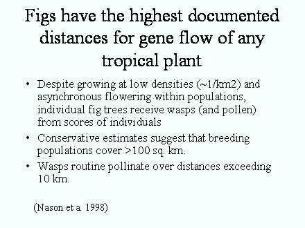 Slide #54. Figs have the highest documented distances for gene flow of any  tropical plant