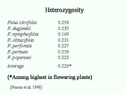 Slide #55. 			Heterozygosity	<BR><BR>Ficus citrifolia		0.258<BR>F. dugandii			0.235<BR>F. nympheifolia		0.169<BR>F. obtusifolia		0.231<BR>F. perforata			0.227<BR>F. pertusa			0.258<BR>F. popenoei			0.223<BR><BR>Average			0.229*<BR><BR>(*Among highest in flowering plants)