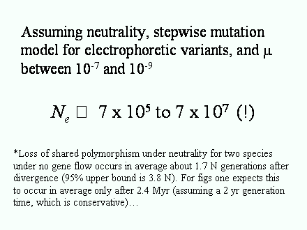 Slide #56. Assuming neutrality, stepwise mutation model for electrophoretic variants, and ? between 10-7 and 10-9<BR><BR>	Ne ?  7 x 105 to 7 x 107  (!)