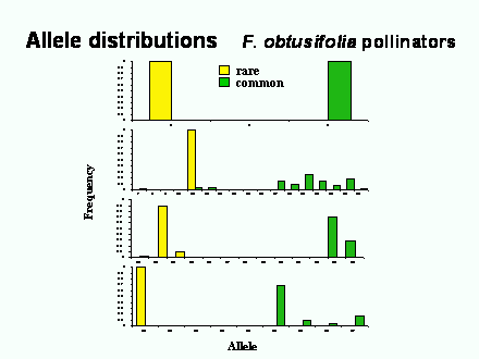 Slide #60. Frequency