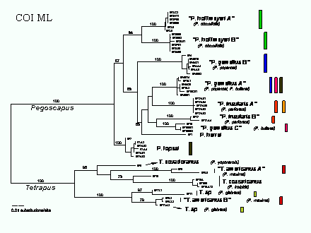 Slide #64. COI ML