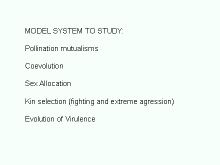 Slide #7. MODEL SYSTEM TO STUDY:<BR><BR>Pollination mutualisms<BR><BR>Coevolution <BR><BR>Sex Allocation	<BR><BR>Kin selection (fighting and extreme agression)<BR><BR>Evolution of Virulence