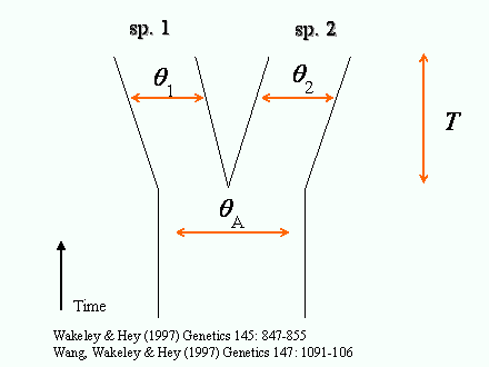 Slide #78. sp. 1