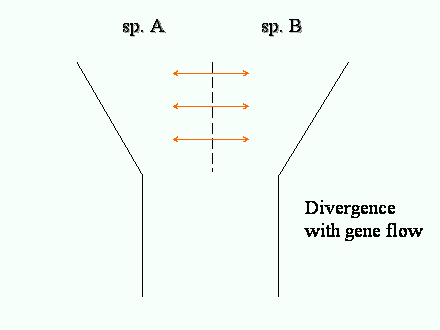 Slide #79. sp. B