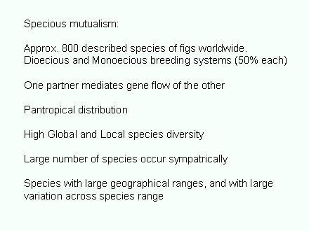 Slide #8. Specious mutualism:  <BR><BR>Approx. 800 described species of figs worldwide. <BR>Dioecious and Monoecious breeding systems (50% each)<BR><BR>One partner mediates gene flow of the other<BR><BR>Pantropical distribution<BR><BR>High Global and Local species diversity<BR><BR>Large number of species occur sympatrically<BR><BR>Species with large geographical ranges, and with large variation across species range