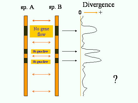 Slide #81. Divergence