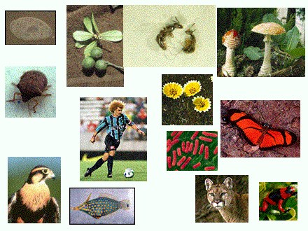 Slide #82. Slide 82