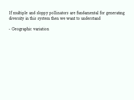 Slide #84. If multiple and sloppy pollinators are fundamental for generating diversity in this system then we want to understand <BR><BR>- Geographic variation<BR><BR><BR>