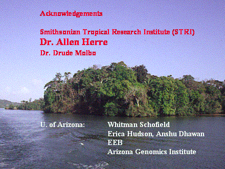Slide #86. Acknowledgements<BR><BR>Smithsonian Tropical Research Institute (STRI) Dr. Allen Herre<BR>Dr. Drude Molbo<BR><BR><BR><BR><BR><BR><BR><BR>U. of Arizona:	Whitman Schofield		<BR>			Erica Hudson, Anshu Dhawan<BR>			EEB			<BR>			Arizona Genomics Institute	