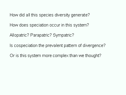 Slide #9. How did all this species diversity generate?<BR><BR>How does speciation occur in this system?<BR><BR>Allopatric? Parapatric? Sympatric?<BR><BR>Is cospeciation the prevalent pattern of divergence?<BR><BR>Or is this system more complex than we thought?