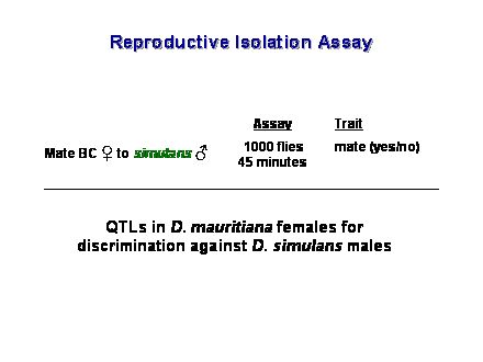 Slide #14. Trait<BR><BR>mate (yes/no)