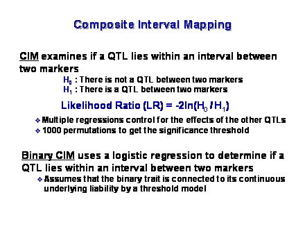 Slide #15. CIM examines if a QTL lies within an interval between<BR>two markers<BR>                   H0 : There is not a QTL between two markers<BR>                   H1 : There is a QTL between two markers<BR><BR>	     Likelihood Ratio (LR) = -2ln(H0 / H1)<BR><BR> Multiple regressions control for the effects of the other QTLs<BR> 1000 permutations to get the significance threshold