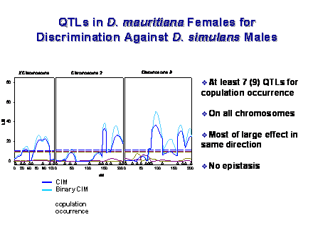 Slide #16. QTLs in D. mauritiana Females for Discrimination Against D. simulans Males