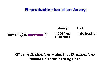 Slide #17. Trait<BR><BR>mate (yes/no)<BR>