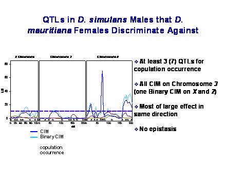 Slide #18. QTLs in D. simulans Males that D. mauritiana Females Discriminate Against