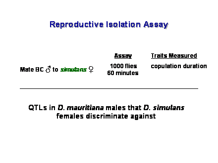 Slide #19. Traits Measured<BR><BR>copulation duration