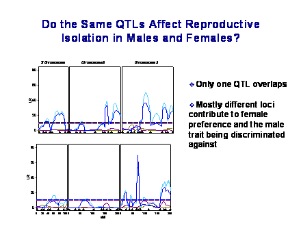 Slide #21. Do the Same QTLs Affect Reproductive Isolation in Males and Females?