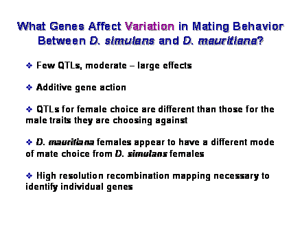 Slide #23.  Few QTLs, moderate  large effects<BR><BR> Additive gene action<BR><BR> QTLs for female choice are different than those for the male traits they are choosing against<BR><BR> D. mauritiana females appear to have a different mode of mate choice from D. simulans females<BR><BR> High resolution recombination mapping necessary to identify individual genes