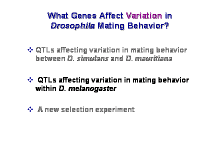 Slide #24. What Genes Affect Variation in