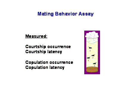 Slide #27. Mating Behavior Assay