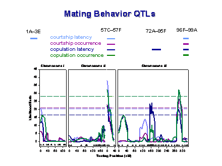 Slide #29. 72A85F