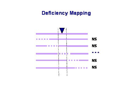 Slide #31. Deficiency Mapping