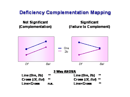 Slide #32. Deficiency Complementation Mapping