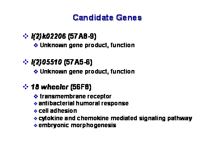 Slide #36. Candidate Genes