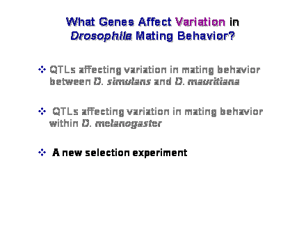 Slide #40. What Genes Affect Variation in