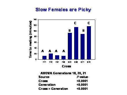 Slide #44. Slow Females are Picky