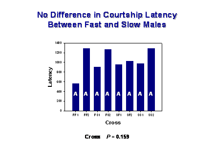 Slide #45. No Difference in Courtship Latency 