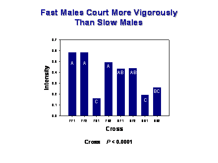 Slide #46. Fast Males Court More Vigorously 