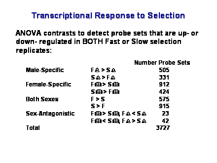Slide #49. Transcriptional Response to Selection